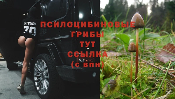 MESCALINE Алексеевка